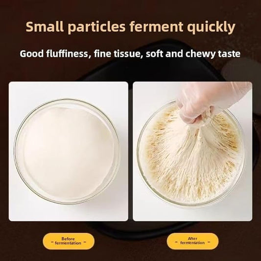 Angel yeast, household, Mantou, steamed stuffed buns, 1.76 ounces (5G * 10 bags),安琪酵母粉蒸包子蒸馒头发酵用(5g/包*10包装)