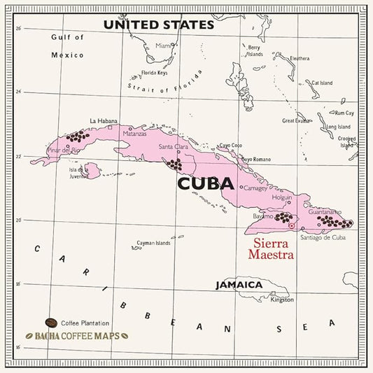 Bacha Coffee | Turquino Cuba Single Origin, Medium Dark Roast, 100% Arabica Specialty Coffee, 12 Coffee Drip Bags, Gift Box