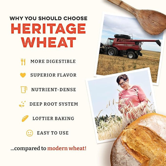 Sunrise Flour Mill Heritage Organic Bread Flour Blend - 5 lbs | Organic Unbleached Bread Flour Easy to Digest with Less Bloating | High Protein, Superior Baking | Smooth, Nutty Flavor