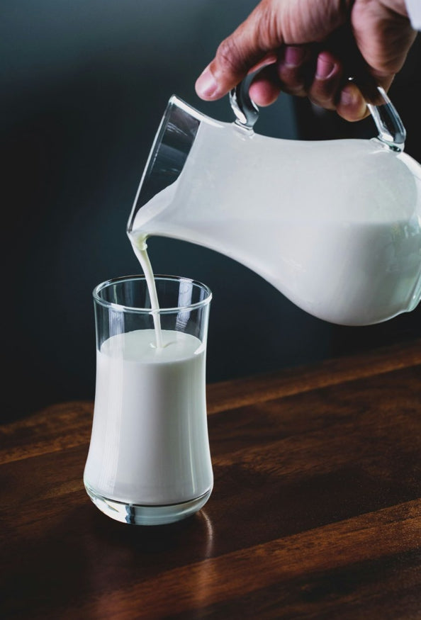 Milk Frother vs. Milk Steamer: What Is the Difference?
