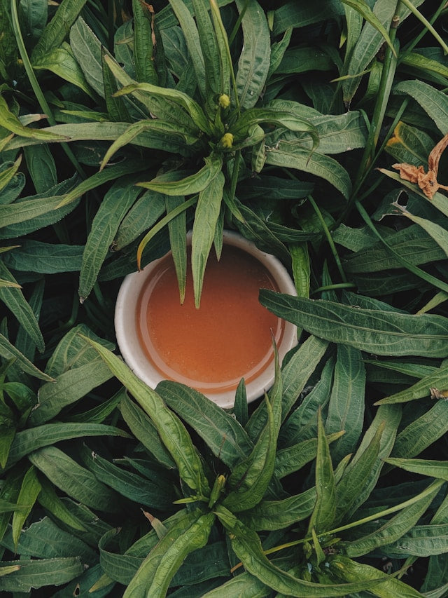 Popular Herbal Tea Flavors and How to Enjoy Them