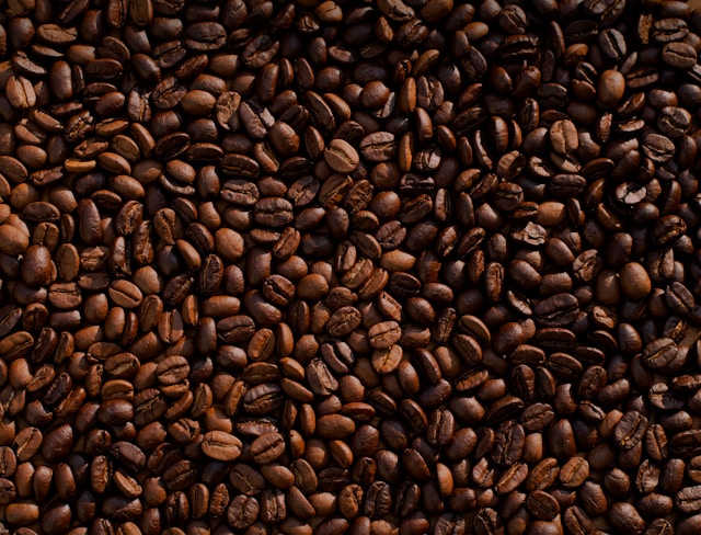 Ground Coffee vs Espresso Capsules vs Coffee Concentrate vs Canned Coffee: Which Format Fits Your Routine?