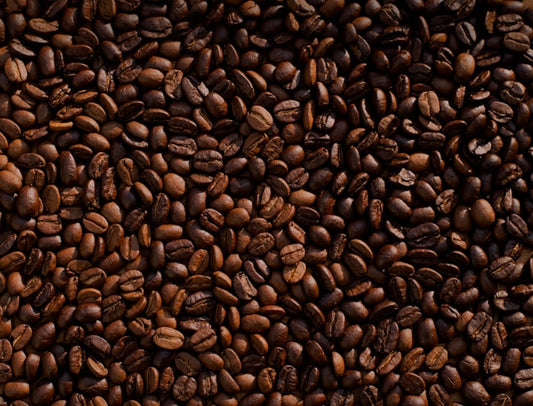 Ground Coffee vs Espresso Capsules vs Coffee Concentrate vs Canned Coffee: Which Format Fits Your Routine?