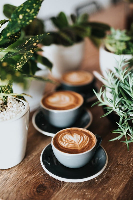 Coffee Labels Explained: How to Read Organic, Fair Trade, 100% Arabica, Roast, and Decaf Claims