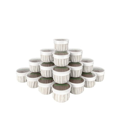 Fabula Coffee Pods Light Roast - Low Acid - Single Origin - Mold Free - Non-GMO - Fair Trade - Kcup Compatible with Keurig & Keurig 2 Machines - 24 Count