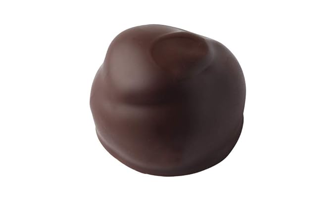 Vermont Nut Free Chocolates Boxed Chocolates (Grand Assortment) 24-Piece, Nut-Free, Egg-Free, Kosher