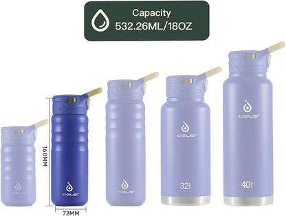 IDEUS Insulated Stainless Steel Water Bottle with 2 Leak-Proof Lids, Thermal Water Flask for Hiking Biking, 18oz, Purple