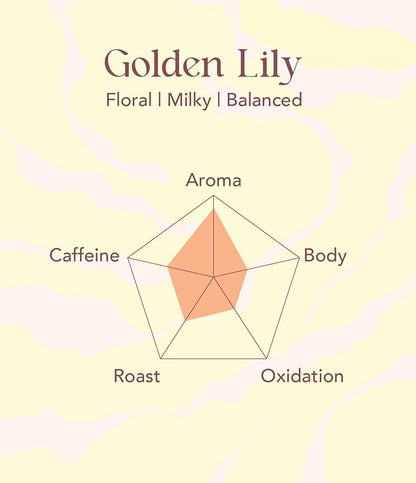 OOTINE, Golden Lily Taiwan Oolong Tea (12 Pyramid Sachets) | Floral and Milky Notes, Lightly Oxidized for A Taste Closer to Green/White Tea | Hand-Picked Quality Whole Leaves in Plant-Based Sachets | Perfect for After-Meal Digestion | Multiple Infusions