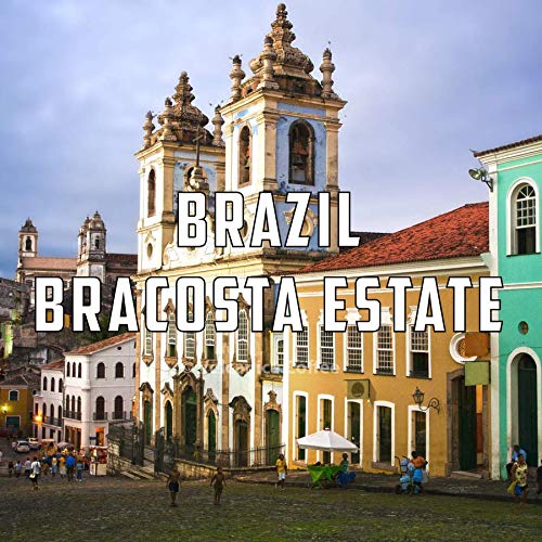 Brazil Coffee, Ground, Fresh Roasted, 5 lbs