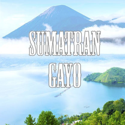 Sumatran Gayo Coffee, Ground, Low Acid, Fair Trade, Fresh Roasted, 16-ounce