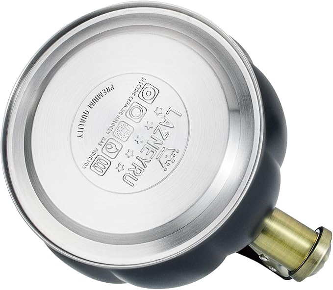 Stainless Steel Tea Kettle for Stove Top Teakettles Stovetop Whistling with Heat Proof Ergonomic Handle 2.5 Quart