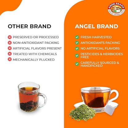 Angel Brand Moringa Tea Bags – 20 Tea Bags, Pack of 3 – Moringa Leaf Tea for and Refreshing Boost