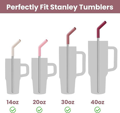 Tomorotec 6-Pack Stainless Steel Reusable Straw with Silicone Tip 3 Sizes, Metal Drinking Straws Fit for Stanley Quencher Tumblers 40oz, 30oz, 20oz, 14oz, Cleaning Brushes Included (Gradient)
