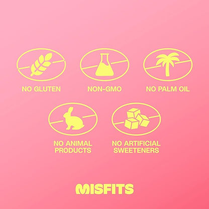 Misfits Vegan Protein Bars, Cookie Butter - Updated Recipe | Plant Based, Low Sugar & Carb, High Fiber Snacks | Pack of 12