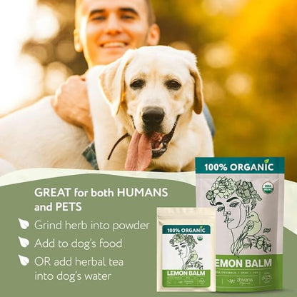 Lemon Balm Tea Organic - Lemon Balm Herb Loose Leaf - Melissa Tea, Tolonjil Tea Organic –- Anti-Stress, Sleep, Blood Pressure, Digestion - 4 Oz