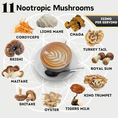 Organic Mushroom Coffee with Cacao – 11x Adaptogenic Mushrooms for Focus, Clarity & Energy – Lion’s Mane, Reishi, Chaga + Nootropic Superfood by OhmYes (7oz) - 99 Servings