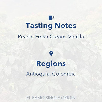 Partners Coffee, Colombia - El Ramo, Whole Bean Coffee, 12 Ounce - Medium-Light