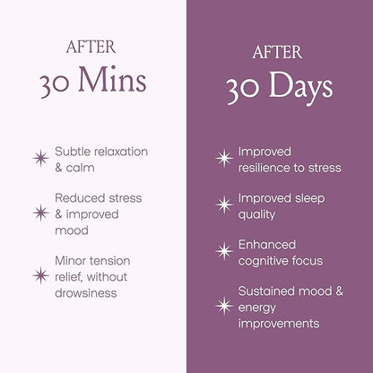 SPACE AND TIME Relax - Mushroom Chai Tea - 20 Cups of Calm & Relaxation - Mushroom Tea with Reishi, Magnesium & L-Theanine