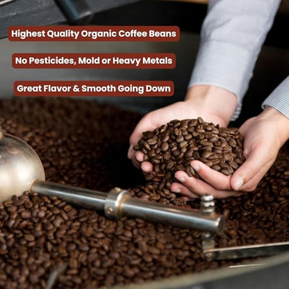 Sampler Variety Pack, Low Acid Organic Coffee Beans: Whole Bean, Mold-Free & Stomach Friendly, by Java Planet - Arabica Gourmet Coffee, 1.32 LBs of coffee packaged in six 3.2 oz bags