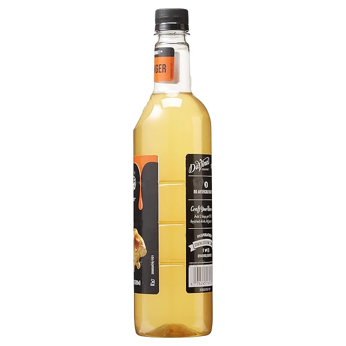 DaVinci Gourmet Spicy Ginger Syrup, 25.4 Fluid Ounces (Pack of 1)