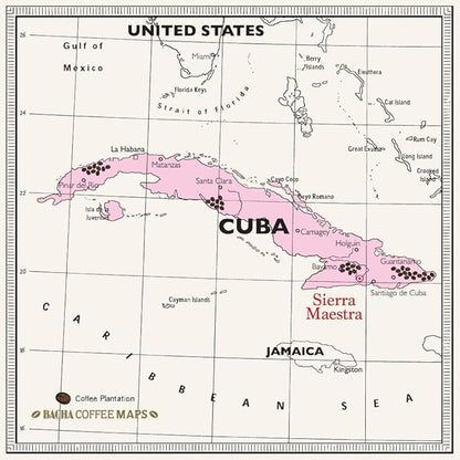 Bacha Coffee | Turquino Cuba Single Origin, Medium Dark Roast, 100% Arabica Specialty Coffee, 12 Coffee Drip Bags, Gift Box