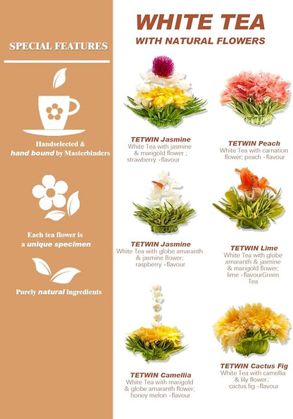 TETWIN Glass Teapot Including 6 Blooming Flower Tea Balls, Stovetop Safe Tea Pot with Removable Infuser for Loose Leaf Tea, 1000ml / 33.8oz