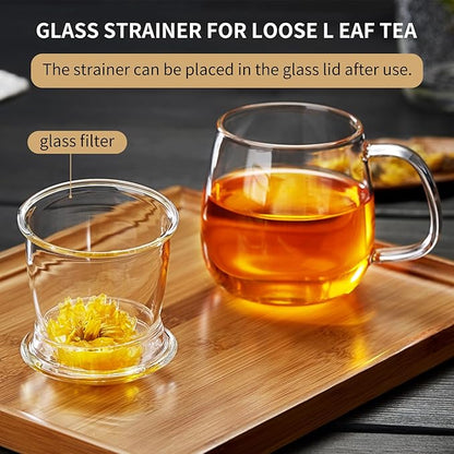 Large Glass Tea Cup, 25.6 oz Borosilicate Glass Tea Mug with Infuser and Lid, Clear Tea Cups for Brewing Scented Tea and Tea Bag