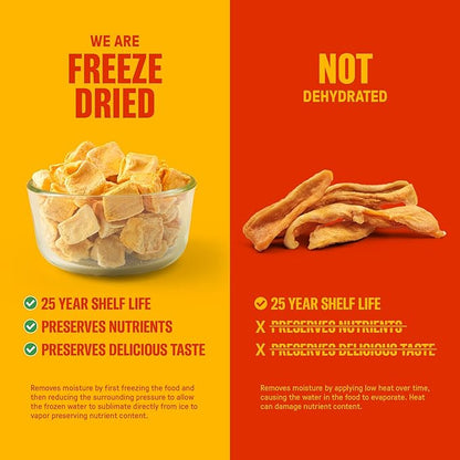 Freeze-Dried Mangoes – #10 Can | 25-Year Shelf Life | Emergency Food Storage & Snacking