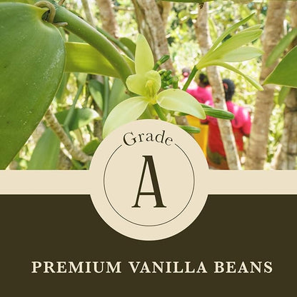 Cook's, Choice Premium Quality Pure Vanilla Extract, 128 oz (1 Gallon)