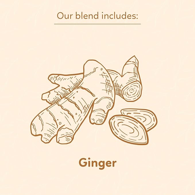 Indochine Blends, Ginger Tea Bags, 50 Teabags, 2g/bag, Individually Wrapped Envelopes, Caffeine-free, No Sugar, Healthy Belly Herbal Tea Supports Digestion & Boosts the Immune System