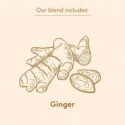 Indochine Blends, Ginger Tea Bags, 50 Teabags, 2g/bag, Individually Wrapped Envelopes, Caffeine-free, No Sugar, Healthy Belly Herbal Tea Supports Digestion & Boosts the Immune System