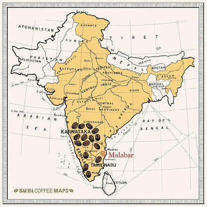 Bacha Coffee | Monsoon Secret India Single Origin, Medium Dark Roast, 100% Arabica Specialty Coffee, 12 Coffee Drip Bags, Gift Box