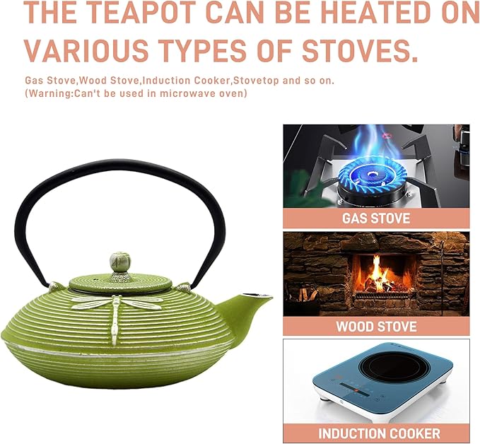 Cast Iron Teapot,SECHUDO Tea Kettle Coated with Enameled Interior for Loose Tea,Cast Iron Teapot with Stainless Steel Infuser for Stovetop Safe (27.1oz Flat Dragonfly Pattern)