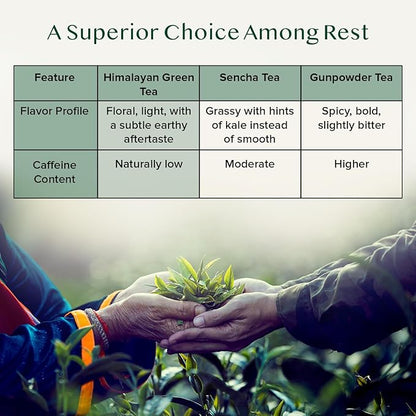 VAHDAM, Earl Grey Citrus Green Tea Loose Leaf (50+ Cups, 3.5 oz) Loose Leaf Earl Grey Green Tea With Pure Bergamot Oil | High Elevation Grown | Vacuum Sealed for Freshness