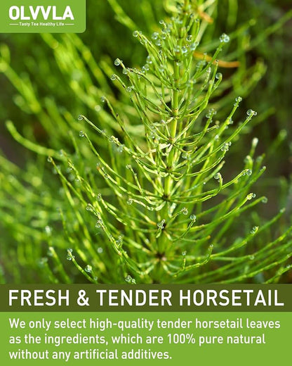 Olvvla - Premium Horsetail Tea Bags - 1.5g X 40 Count - Pure Natural Horsetail Herbal Tea - Caffeine-free - Non-GMO - Dried Horsetail Herb - Rich in Antioxidants & Support Bone Health
