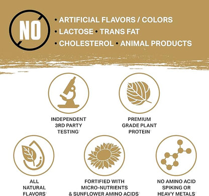 Ambrosia Planta - Premium Plant-Based Protein | Vegan & Keto Friendly | Gourmet Flavors with No Bloating or Stomach Upset | Gluten & Soy Free | No Added Sugar | 25 Servings | Sprinkle Cupcake