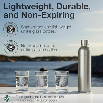 Premium 33 oz Stainless Steel Bottle | Compatible with Aarke Carbonator 3, Sodastream (excl. Aqua Fizz + Jet) and many others | Dishwasher Safe, No Expiration Date | 2-Pack
