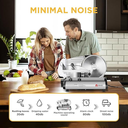 TOOGOOD 8.7" Meat Slicer, Electric Meat Slicer Machine with Removable Stainless Steel Blade, Deli Food Slicer for Home Use, Slicing Frozen Meat,Hard Cheese, Ham and Deli, Silver