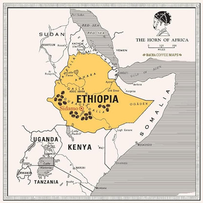 Bacha Coffee | Yirgacheffe Decaf Ethiopia Single Origin, Medium Dark Roast, 100% Arabica Specialty Coffee, 12 Coffee Drip Bags, Gift Box