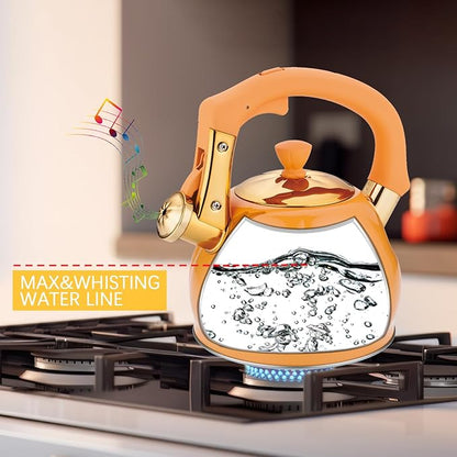 Stainless Steel Tea Kettle for Stove Top Teakettles Stovetop Whistling with Heat Proof Ergonomic Handle 2.5 Quart