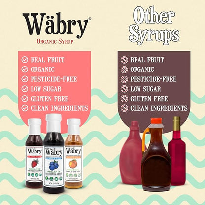 Wäbry Blueberry Syrup No Added Sugar – 13.8oz (390g), Natural Fruit Flavor Organic Snow Cone Syrup Sweetened with Stevia & Erythritol for Shaved Ice, Waffles, Ice Cream, Tea, Non-GMO, Dye-Free & Vegan