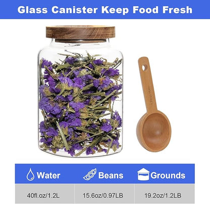 Vacuum Coffee Canister Glass Food Storage Jars With Airtight Lids Borosilicate Glass Coffee Canister Container for Coffee Beans & Grounds Tea Sugar Spices Kitchen (1200ml/40oz -1 pack-with spoon)