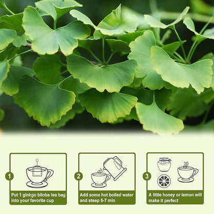 TEARELAE - Ginkgo Biloba Tea Bags, 50 Count - 100% Pure Ginkgo Biloba Leaves - Non-GMO - Naturally Caffeine-free Herbal Tea - Support Vision Health & Enhance Immunity