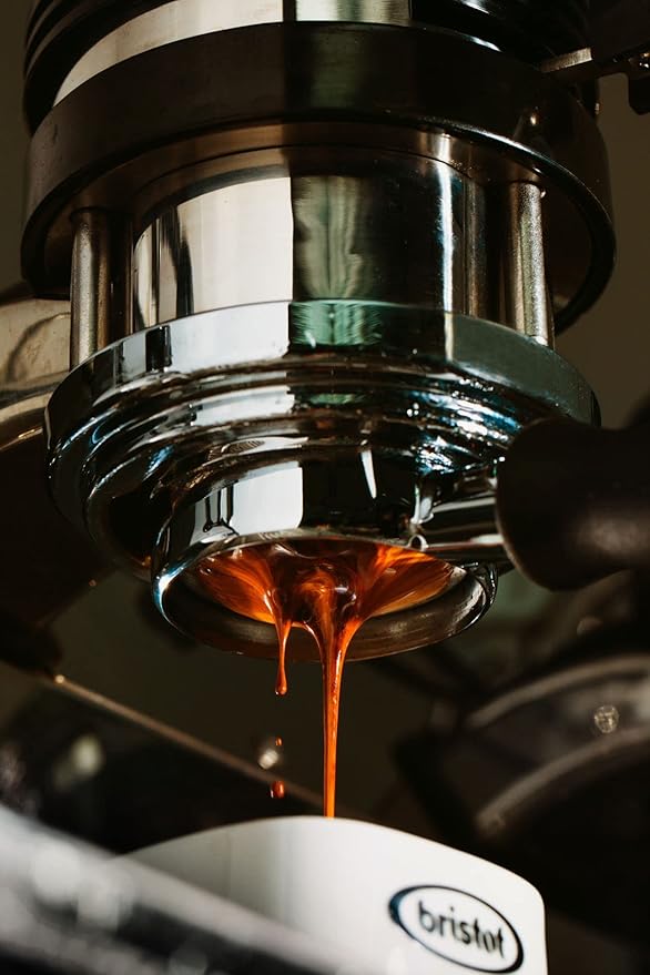 Bristot 100% Arabica Ground Coffee – Italian Espresso Delicato – Medium Roast – Ground Coffee for Moka Pot, French Press & Pour Over – 8.8oz (250g) (Pack of 2)