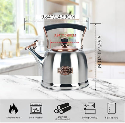 Tea Kettle Stainless Steel Teapot, Stainless Steel Teakettle for Stove Top with Heat Proof Ergonomic Handle 3.0 Quart