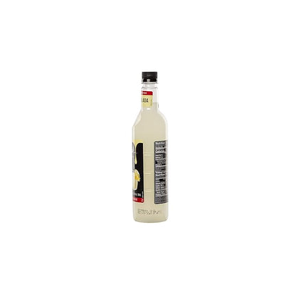 DaVinci Gourmet Classic Pina Colada Syrup, 25.4 Fluid Ounces (Pack of 4)