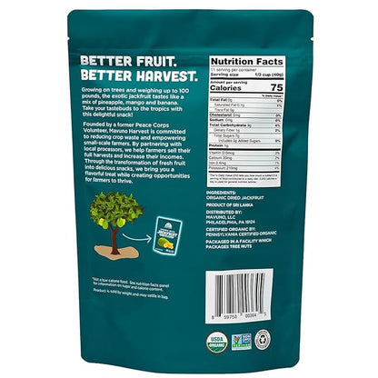 Mavuno Harvest Jackfruit Dried Fruit Snacks | Unsweetened Organic Dried Jackfruit Chips | Gluten Free Healthy Snacks for Kids and Adults | Vegan, Non GMO, Direct Trade | 1 Pound Bag