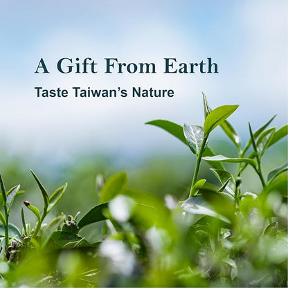 EZR Leaf Tea Sampler Gift Box – 22 Pyramid Tea Bags with Taiwan Black, Osmanthus Oolong, Chamomile Oolong, Berry Black, Four Seasons Green – Flavored Assorted Tea Set for Gifting & Tasting