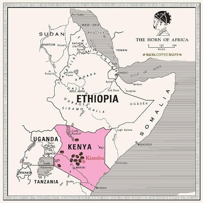 Bacha Coffee | Mount Kenya Single Origin, Medium Dark Roast, 100% Arabica Specialty Coffee, 12 Coffee Drip Bags, Gift Box