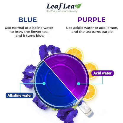 LeafLea 40 Butterfly Pea Flower Tea Bags, Herbal Flower Tea for Relaxation, Mocktails, and Natural Food Coloring, Caffeine-Free, Sugar-Free, Non-GMO